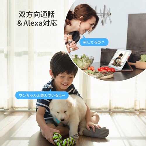 [Amazon.co.jp Exclusive] EZVIZ Pet Camera, Indoor Monitoring Camera, 1080p, 360° Pan/Tilt (Horizontal 340°/Vertical 55°), AI Auto Tracking, Night Visi