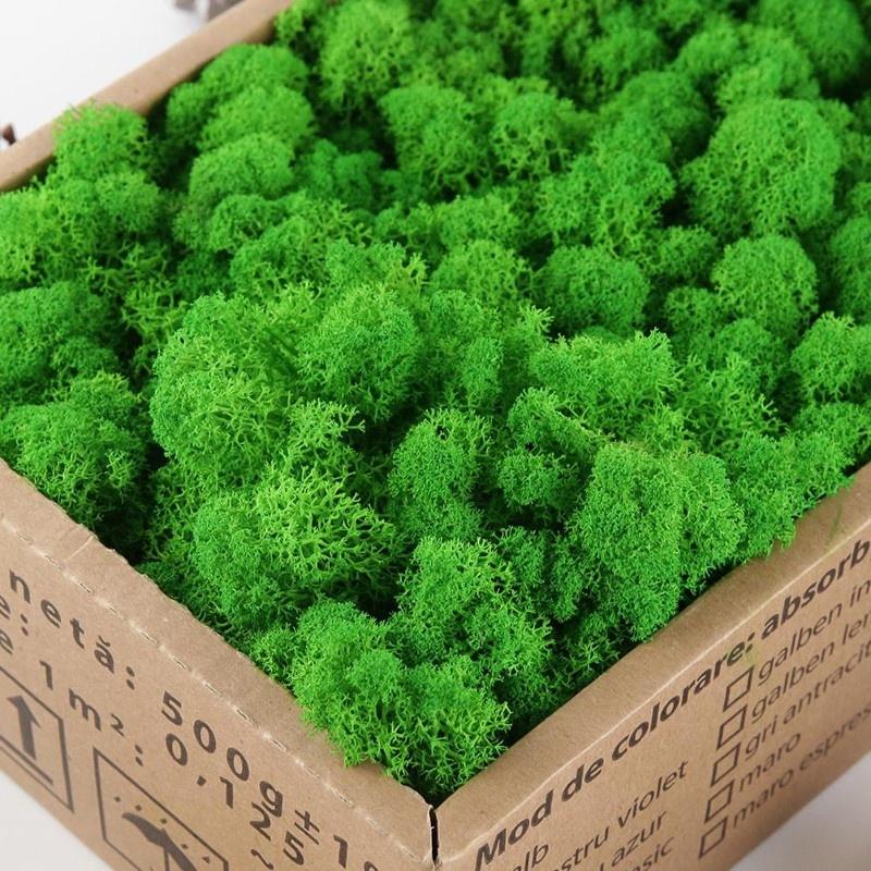 D5 Preserved Decorative Moss Natural For Home Decorations Model Making Fake Moss Background Wall Immortal Simulated Green Plants
