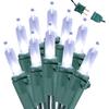 Brizled Color Changing Christmas Lights, 33ft 100 LED Christmas Lights Connectable, 12 Modes Warm White & Multicolored Xmas Light with Remote,