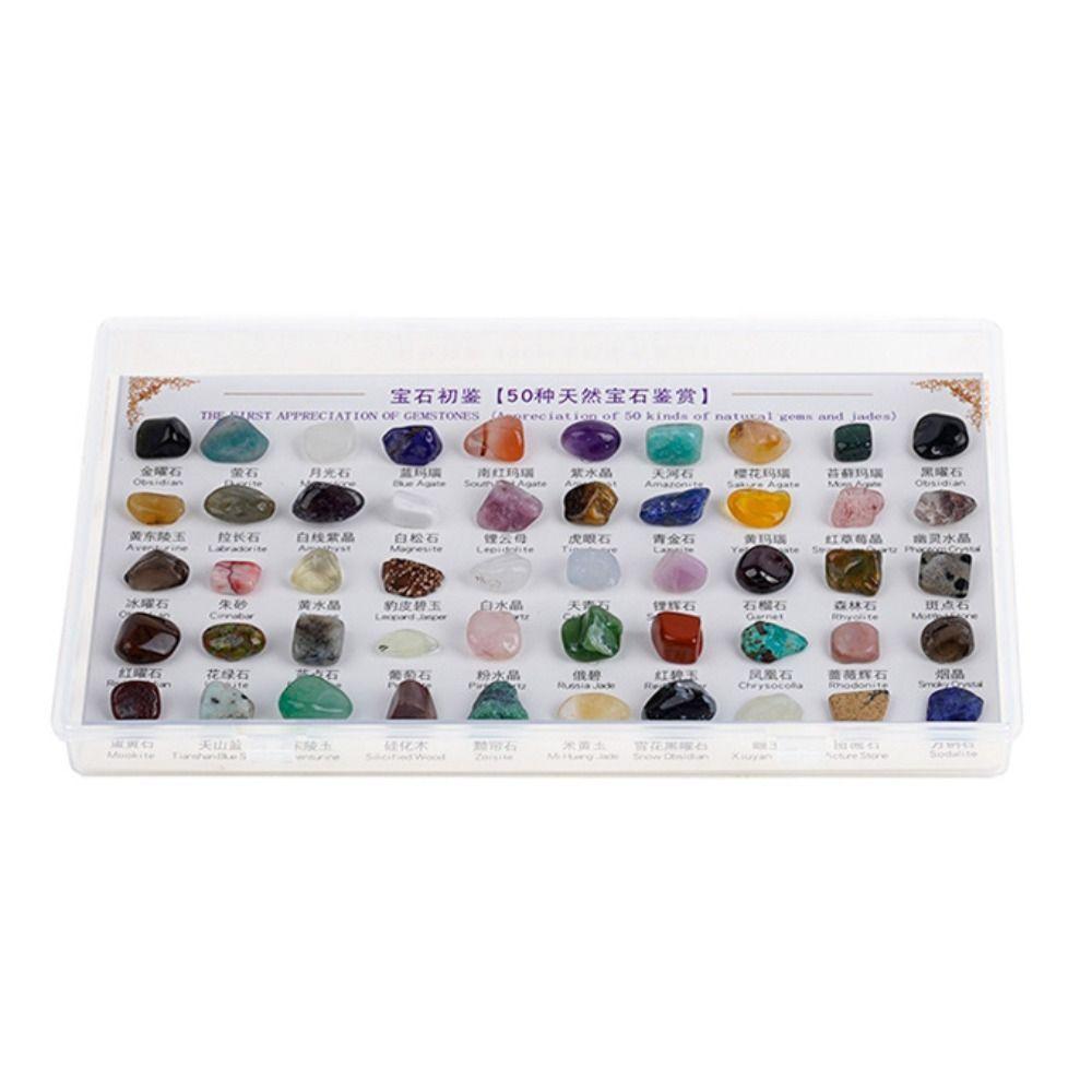 50 pezzi/scatola Gemme Naturali Multicolore Campioni Cristallo Duro Pietra Grezza Campioni Minerali Quarzo Splendido Raffinato Campioni