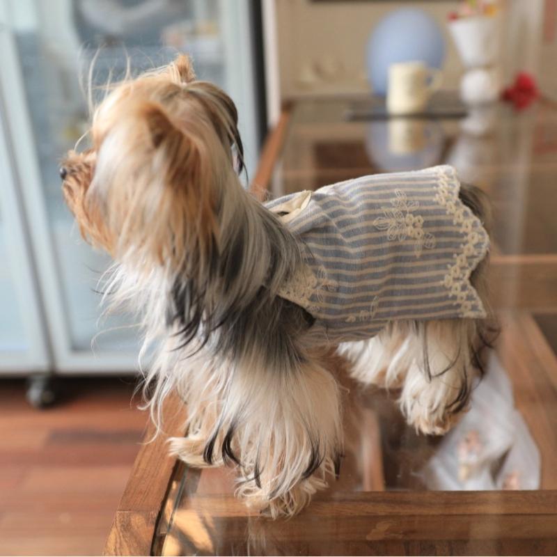 Summer Dog Clothes Puppy Small Dog Dress Chihuahua Dachshund Dog Cats Pet Clothing Pets Halloween Dogs Cats Costume Supplies
