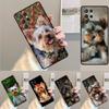 Yorkshire Terrier Hund TPU Handyhülle Für Samsung Galaxy note 10 pro S26 S25 S24 S23 S22 Ultra Plus S21 FE S20 Stoßfeste Hülle