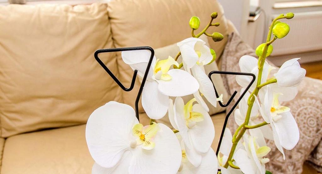 KADAX Orchid Support Plant Support 10pcs 50cm