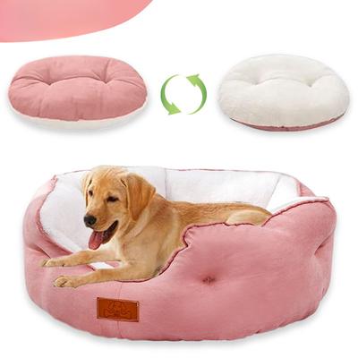 Cani – Cucce, cucce da esterno, box per cani