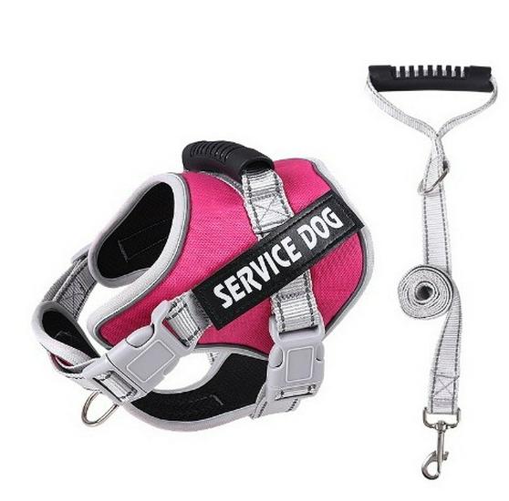 Reflektierende Atmungsaktive Hundeleine & Geschirr - Explosionsgeschütztes Design