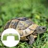 Floating Turtle Basking Platform for Tank Decor Climbing Ramp Sturdy Lightweight Wear Resistance Ideal Reptile Resting Area