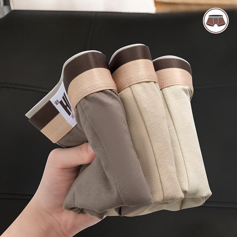 3pcs Men's Underwear Men's Youth Shorts Comfortable and Breathable Mid Waist Flat Angle Pants Boxer Brief