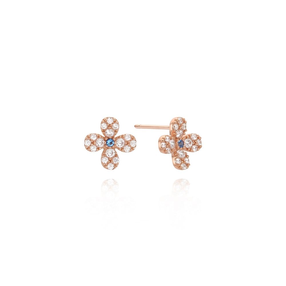 [Rosemont] Silver Earrings Rc0193