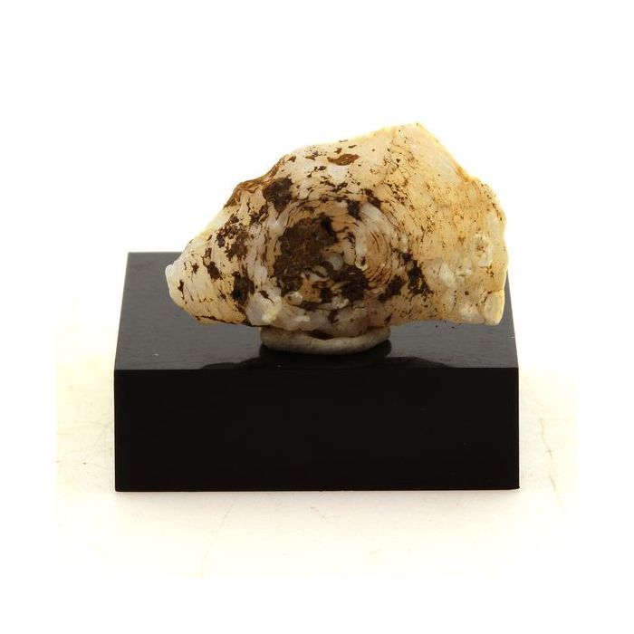 Lussatite (Opale-CT) 39.94 carats