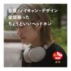 [Amazon.co.jp Limited] [VGP2026 Gold Award] final UX1000 Hybrid Noise Canceling Wireless Headphones, External Sound Capture, Multi-point, Up to 70
