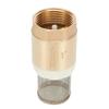 Brass Foot Valve DN25 With Check Valve Stainless Steel Basket Suction Basket Water Is Sucked Through The Foot Valve
