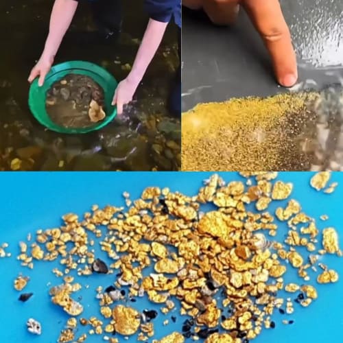 Gold Panning Set with Pan, Digger, Caccia, and Dropper