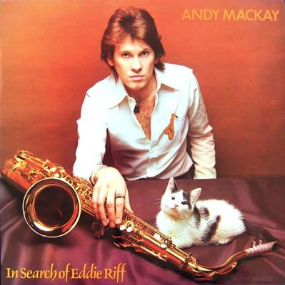 LP Record ANDY MACKAY - In Search Of Eddie Riff ILPS9278 Island Records 1974 UK Rock Used