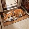 Dog Floor Mat, Home Bathroom Floor Mat, Quick-Drying Water Absorbing Foot Mat, Easy-to-Clean Bath Mat