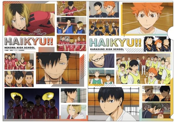 Haikyuu Clear File Karasuno Nekoma Collage 2 Official Merchandise
