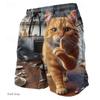Summer 3D Fun Cartoon Animals Print Shorts Fashionable Casual Beach Men's Shorts