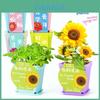 Science Experiment Diy Desktop Potted Plant Kit With Germination Seeds For Kids And Office Decor