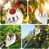Tree Fruit Picker Tool Telescoping Harvesting Equipment 3.3-13ft Adjusting Fruit Picker For Mango Lemon Orange Pear Cherry Farm