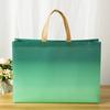 10pcs Coated Non-woven Fabric Bag Clothing Nonwovens Pack Handbag Environmentally Friendly Gift Shopping Packaging Pouch
