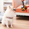 Dog Toy Ball Dog Christmas Halloween Day Training Football Pet Ball Toys Pet Supplies