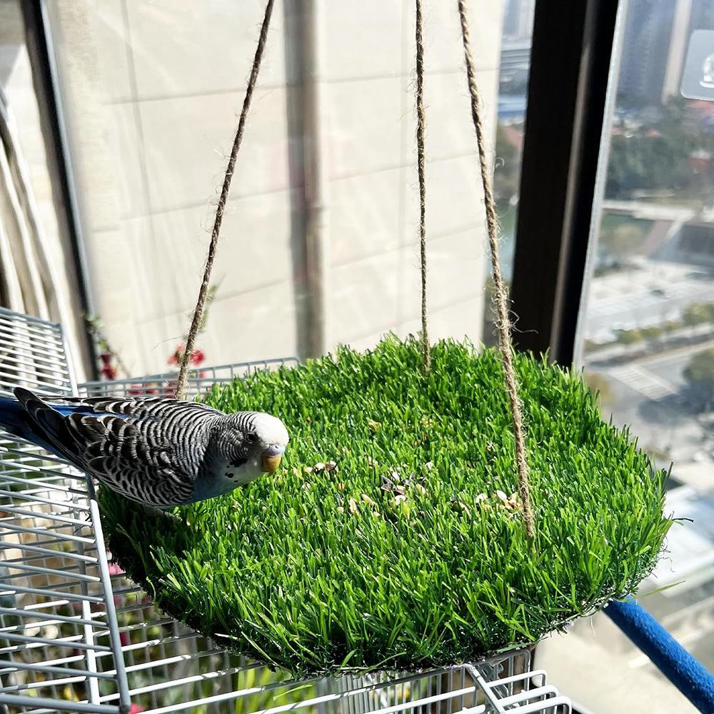 Parrot, Squirrel & Hamster Grass Climbing Hammock Toy