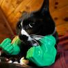 Cat Toys Funny Pet Toys Cat Arm Decoration Funny Toys Pet Accessories Halter Neck Toys Christmas Pet Toys Interactive Funny Toys