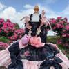 Luxury High-end Black Pink Roseflower Pet Dog Clothes Handmade Long Tail Princess Dress For Small Medium Dog Photography Skirts