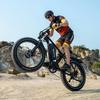 Electric Bicycle Duotts S26, Dual 750W Motor, 48V 20AH Battery, Top Speed 25 Km/h, Cruising Range 120km, 26x4.0 Inch Tires