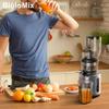 BioloMix HH‑916I Slow Cold Press Juicer Wide Mouth Masticating Juicer