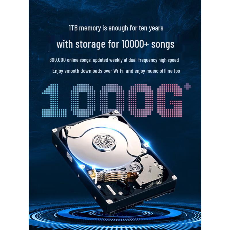 SANSUI C1 Portable Home KTV Speaker System CN Plug (adapter Included)