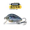 Limited Special Offer 3cm 1.5g Floating Wobblers for Bass Crankbaits Fishing Lure