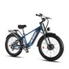 WILDEWAY Soared Max Elektrofahrrad mit zwei Motoren, 48V 30Ah Akku