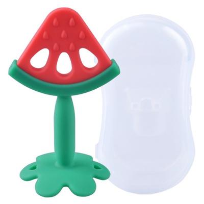 Benian Silicone Fruit Teether + Case Korean Childrens Toys