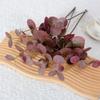 Plastic Artificial Eucalyptus Round Leaves Silk Eucalyptus Leaf  Christmas Decorations