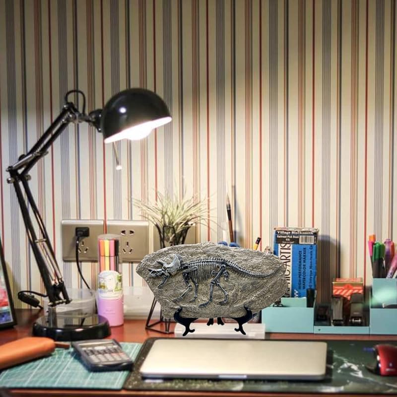 XINDAM Resin Triceratops Dinosaur Fossil Statue Model Simulated Skeleton Home Office Display Decorative Craft Box Decora