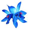 Hawaii Colourful Hair Clip Flower Hairpin Double Orchid Hair Clips Children's Hair Accessories for Women and Girls