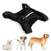 Soft Padded Pet Harness Compatible for Sports Cameras Recording from Your Dog's Perspective with Accessories