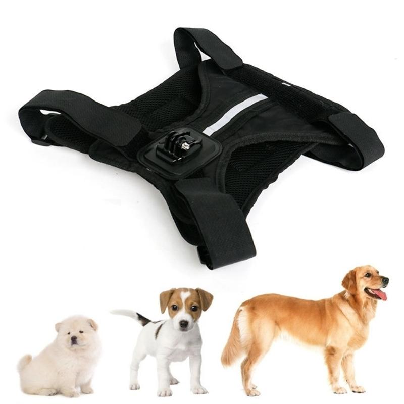 Soft Padded Pet Harness Compatible for Sports Cameras Recording from Your Dog's Perspective with Accessories