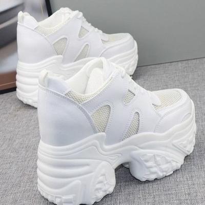 Mesh Breathable 12 Heightened Platform Dad Shoes Women 2025 New 10 Small Cm Casual White Silver Black