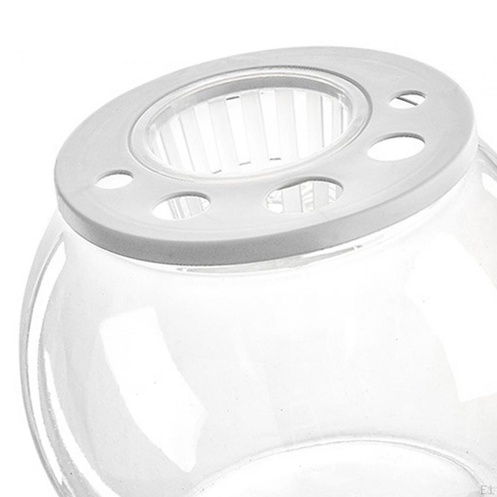 Bowl Tank Creative Transparent Table Ornament Trendy DIY Micro Landscape Aquarium for Office