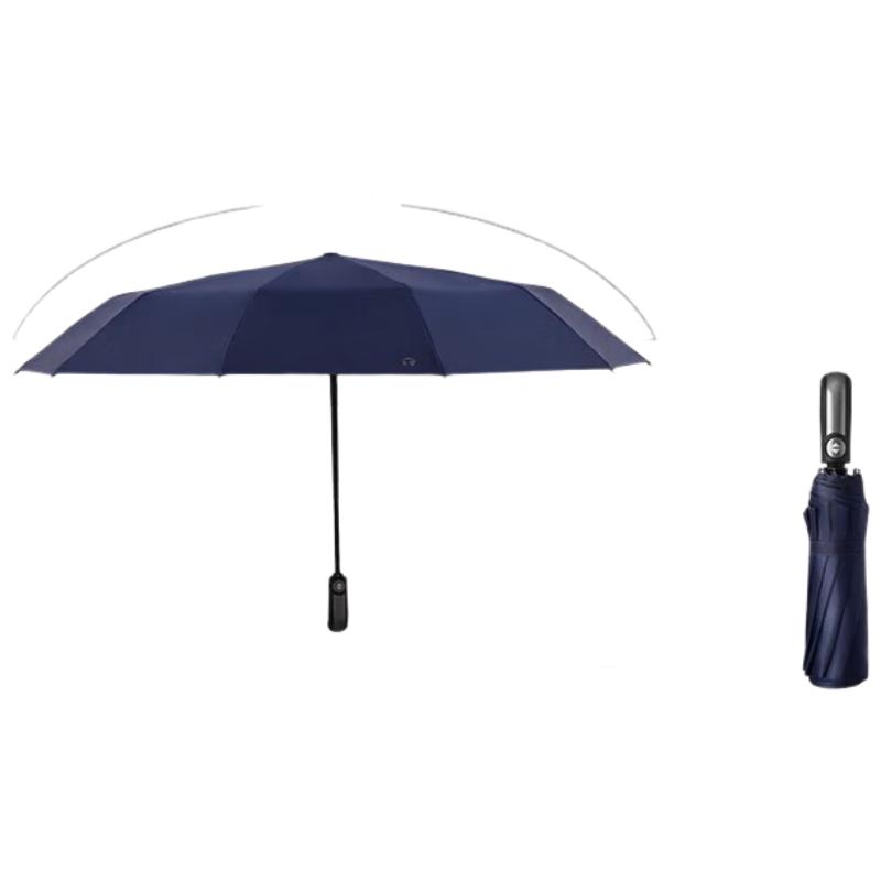 Paradise Fully Automatic 10-Rib Travel Umbrella