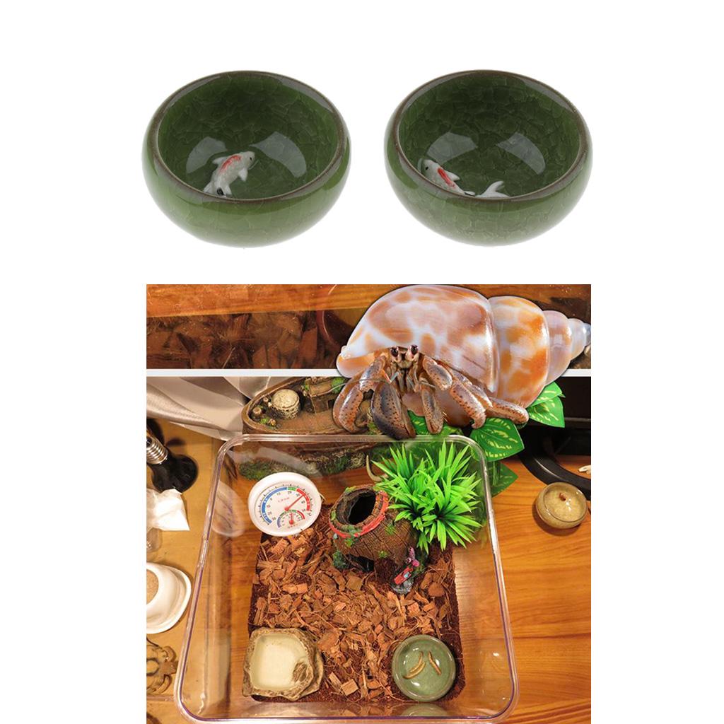 mealworm feeding dish