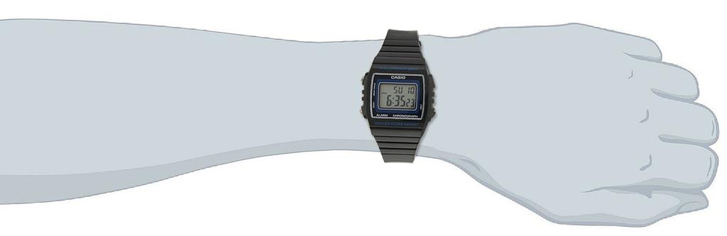 Casio Standard Watch W-215H-8A (Imported)