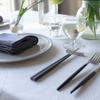 Cutipol KUBE Chopsticks and Chopstick Rest Ivory Silver KU39IV Set,