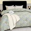 PAUI DAVID Starry Sleep Brushed Quilt