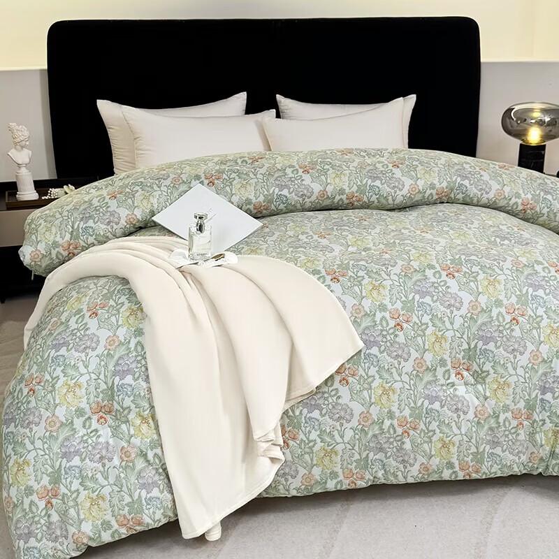 PAUI DAVID Starry Sleep Brushed Quilt
