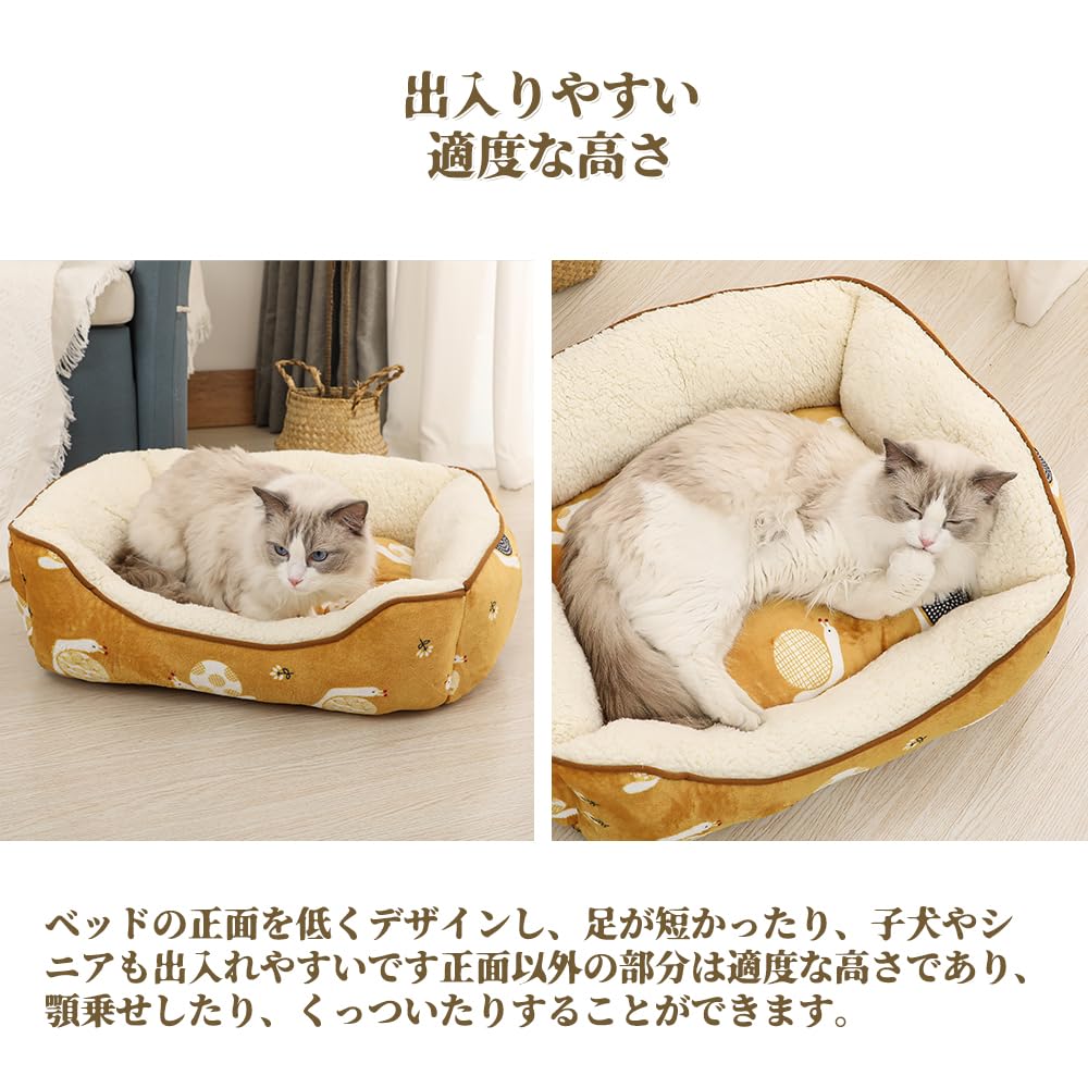 JEMA Pet Cat Dog Pet Sofa for Dogs and Soft 3D Fluffy and Size 60x50x18cm Snail Pattern Bed, Bed, Cushion, Small/Medium Cats, Cotton, Warm, Year-Round
