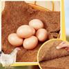 6PCS Chicken Nest Box Mat Soft Liner for Coop Rabbit Bird Nesting Pad Washable Poultry Bedding Supplies for Hens Chicks
