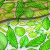 Pack of 40/50/60 Elegant Acrylic Leaf Charms Set Green Decorative Beads With Holes DIY Crafting Jewelry Components