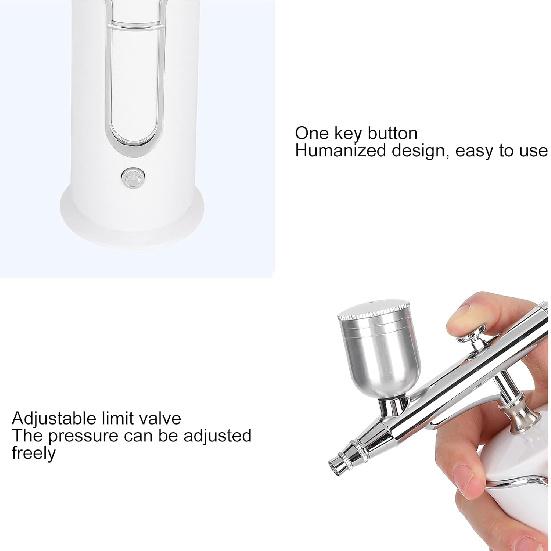 Professional Oxygen Facial Machine,Water Oxygen Sprayer,Portable Handheld Face Skin Moisturizing Nanos Spray Airbrush for Skin Rejuvenation